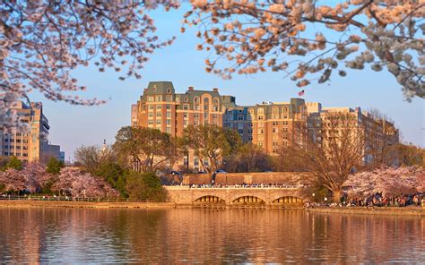 Salamander Washington DC | Luxury Hotels in Washington DC