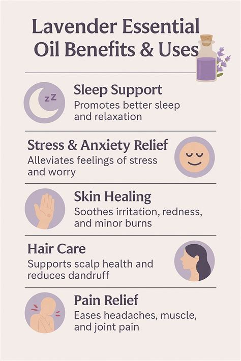 My Journey with Lavender Essential Oil: Uses, Benefits, and Tips ...