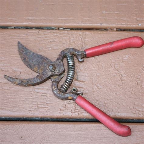 Remove Rust From Tools 的图像结果