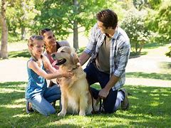 Image result for Pets and People