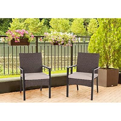 Buy PHI VILLA Outdoor Wicker Chairs Set of 2, Rattan Covered Metal ...