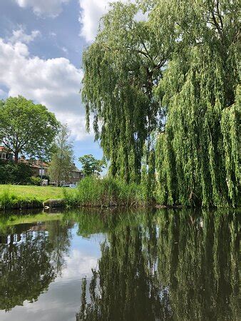 ALKMAARSE BOOTJES VERHUUR (Alkmaar) - What to Know Before You Go