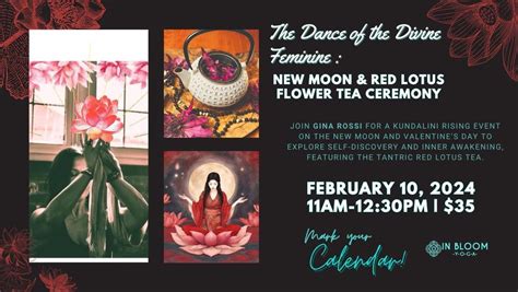 The Dance of the Divine Feminine: New Moon & Red Lotus Flower Tea ...