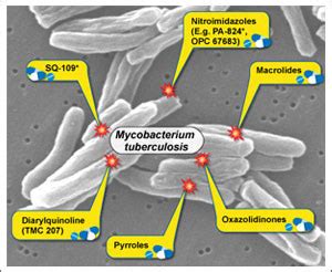Mechanism behind carbohydrate synthesis may pave way for new TB drugs ...