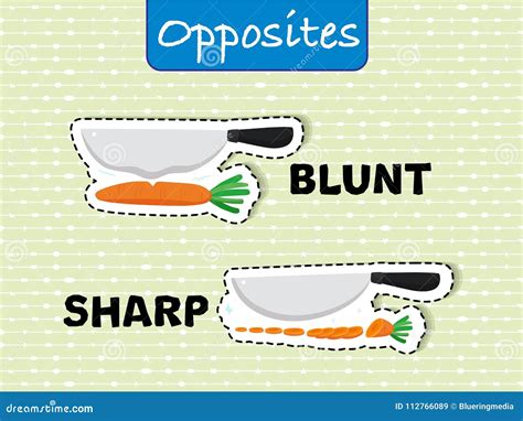 Opposite Words for Blunt and Sharp Stock Vector - Illustration of ...