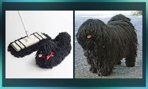 Image result for Machine Learning One Shot