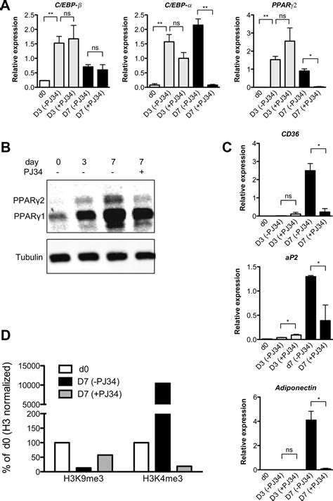 Par Color Development Principle 的图像结果