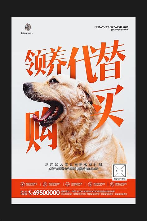 IFAW关爱流浪动物|平面|海报|landa1993 - 原创作品 - 站酷 (ZCOOL)