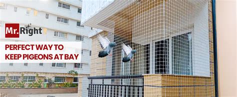 Mr. Right Pigeon Nets for Balconies (10x6 Ft), Anti Bird Control Net ...