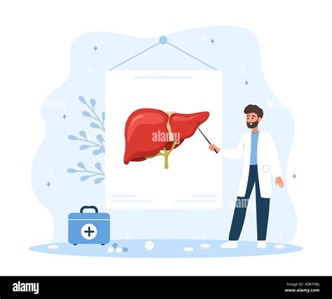 Liver donation education. Cartoon doctor in scrubs explaining transplant process to patient ...