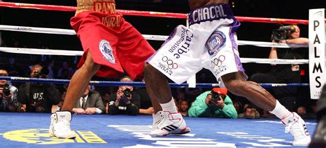 Boxing Lesson 的图像结果