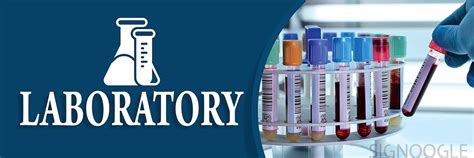 SIGNOOGLE Laboratory Sign Stickers For Hospital Lab College School ...