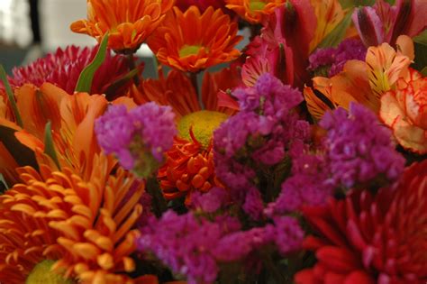 Fall Flowers Wallpapers - Top Free Fall Flowers Backgrounds ...