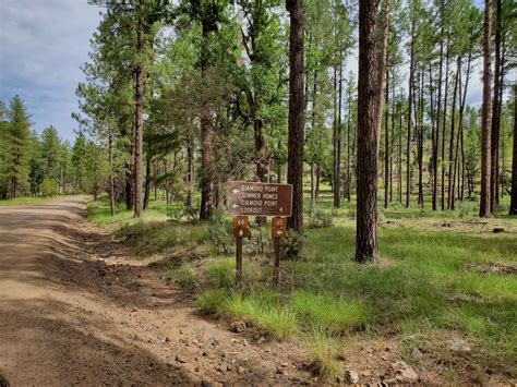 Diamond Point Arizona: Guide to Finding Quartz Crystals - Forever ...