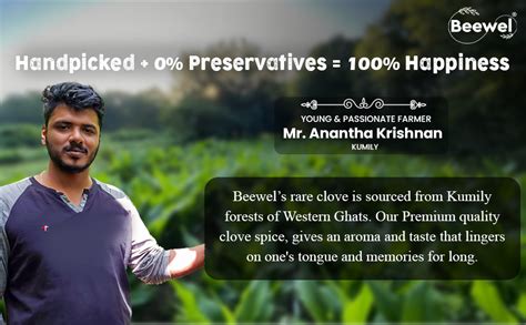 Beewel Whole Clove from Western Ghats - 100 g | Laung | Lavangalu | A ...