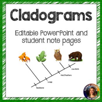 Image result for Science Cladogram