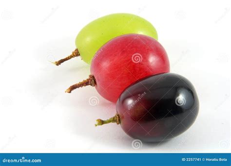 Grape berrys stock image. Image of pulp, vegetarian, peel - 2257741