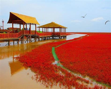 10 BEST Places to Visit in Liaoning - UPDATED 2023 (with Photos ...