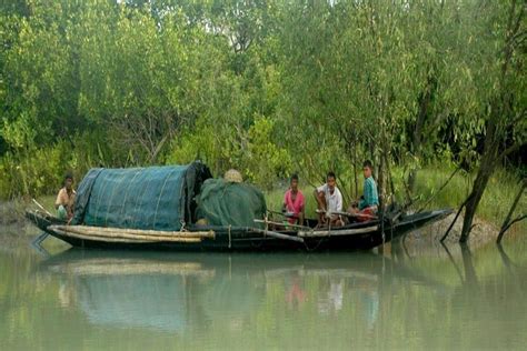 মাছ ধরতে গিয়ে নদীতে তলিয়ে সুন্দরবনের মৎস্যজীবীর মৃত্যু | Fisherman ...