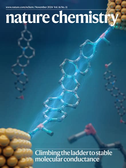 Nature Chemistry 的图像结果