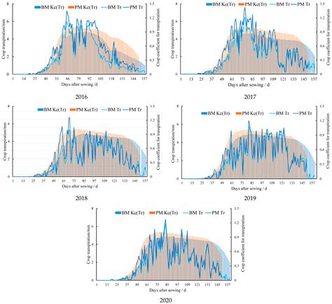 Analysis and Research on Production Effects of Full-Film Double Ridge ...