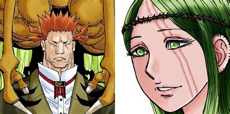 Hunter x Hunter: Illumi's Needles, Explained