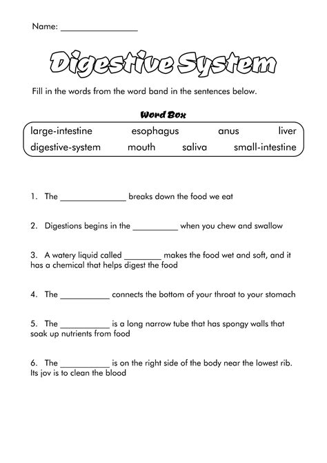 13 6 Grade Science Worksheets - Free PDF at worksheeto.com