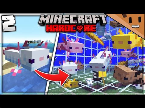 Image result for Minecraft Axolotl Farm Tutorial