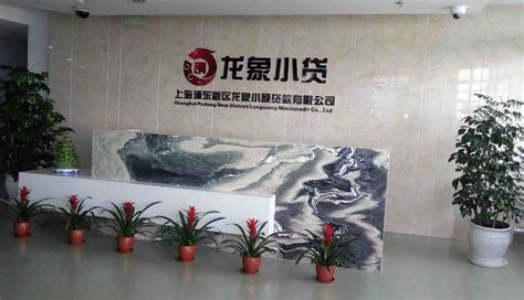 上海浦东新区龙象小额贷款有限公司正式挂牌营业_上海龙象建设集团有限公司