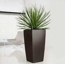 vasi per arredamento interno vasi interno vasi e fioriere vasi per arredamento interno vasi interno vasi e fioriere