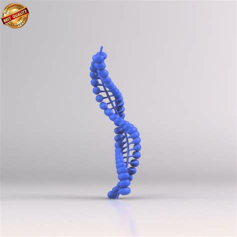 Human DNA Free 3D Model - .obj .fbx - Free3D