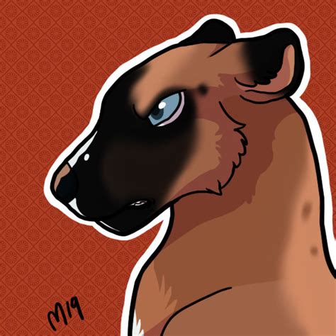 Image result for Bucky Python