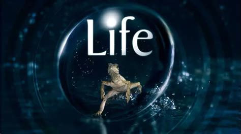 BBC Socumentry 的图像结果