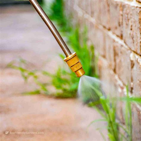 Vinegar And Weed Control