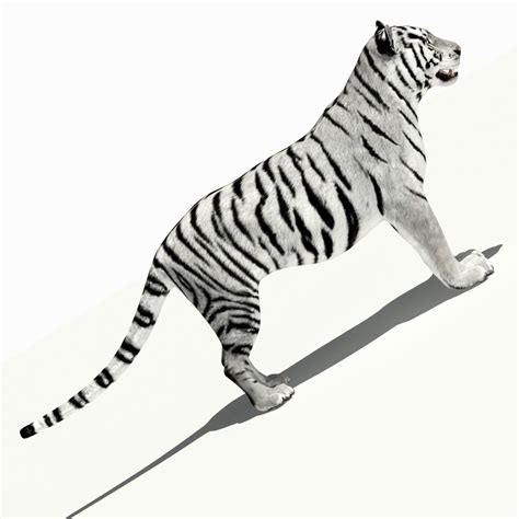 Tiger Amur White 3D Model $34 - .3ds .fbx .obj .max - Free3D