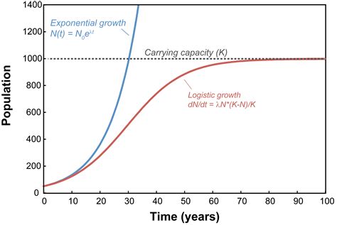 Exponential Growth Graph Carrying Capacity