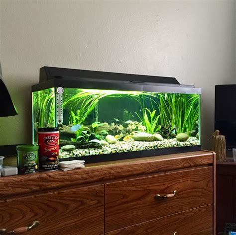 20 Gallon Tall Aquarium