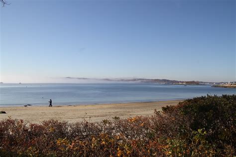 November on Niles Beach – Good Morning Gloucester
