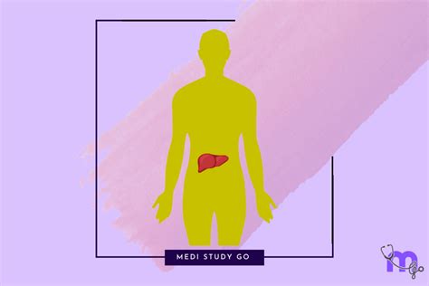 Diagnosis and Management of Infectious Diseases – Medi Study Go