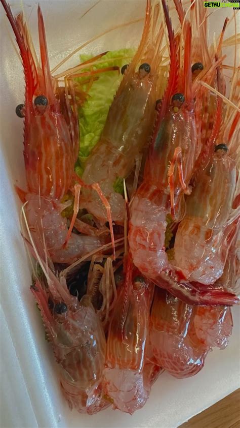 Park Eun-hye Instagram – #속초 가 이렇게 좋은지 왜 이제야 알았을까… 또 가야지!!! #카시아속초 #대포항 ...