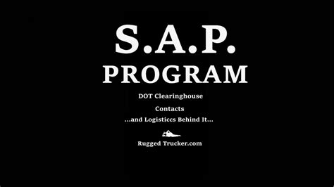 What Is SAP Program 的图像结果