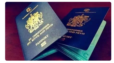 英国扩大海外国民护照适用范围 引中国不满 – 博讯新闻网