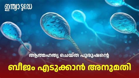 Permission to retrieve sperm of deceased man: ആത്മഹത്യ ചെയ്ത ...