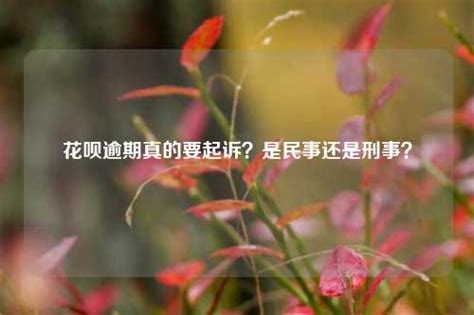 花呗逾期真的要起诉？是民事还是刑事？-地宝网