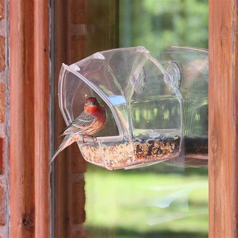 Window Bird Feeders Gif