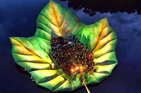 Amazon Array 的图像结果