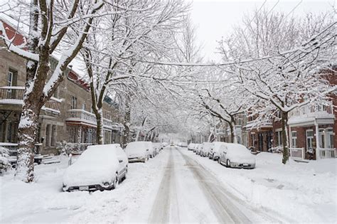 Potent winter storm targets Quebec with 20-35 cm of snow, dangerous travel - The Weather Network