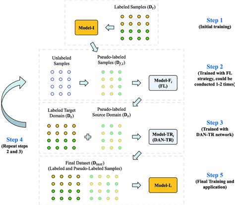 Training Process 的图像结果