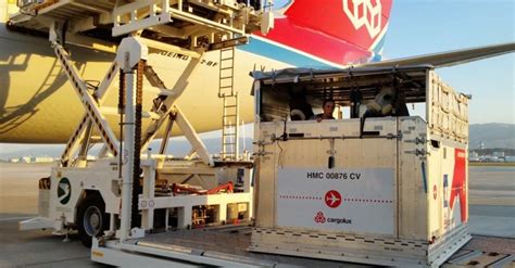 IATA launches certification program to improve animals' safety during ...