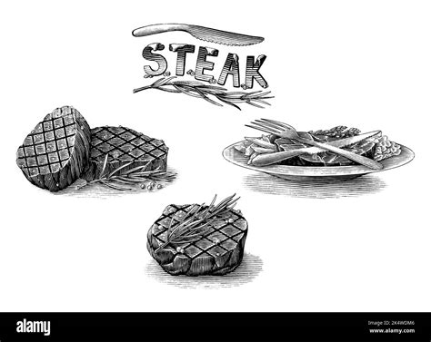 Steak hand draw engraving black and white clipart Stock Vector Image ...